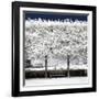 Another Look - Paris-Philippe Hugonnard-Framed Photographic Print