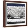 Another Look - Paris-Philippe Hugonnard-Framed Photographic Print