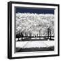 Another Look - Paris-Philippe Hugonnard-Framed Photographic Print