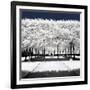 Another Look - Paris-Philippe Hugonnard-Framed Photographic Print