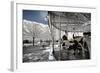 Another Look - Paris-Philippe Hugonnard-Framed Photographic Print