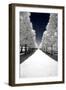 Another Look - Paris-Philippe Hugonnard-Framed Premium Photographic Print