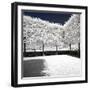 Another Look - Paris-Philippe Hugonnard-Framed Photographic Print