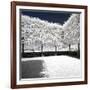 Another Look - Paris-Philippe Hugonnard-Framed Photographic Print