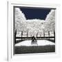 Another Look - Paris-Philippe Hugonnard-Framed Photographic Print