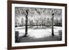 Another Look - Paris-Philippe Hugonnard-Framed Photographic Print