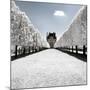 Another Look - Paris-Philippe Hugonnard-Mounted Photographic Print