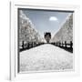 Another Look - Paris-Philippe Hugonnard-Framed Photographic Print