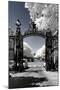 Another Look - Paris-Philippe Hugonnard-Mounted Photographic Print