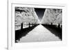 Another Look - Paris-Philippe Hugonnard-Framed Photographic Print