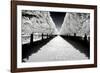 Another Look - Paris-Philippe Hugonnard-Framed Photographic Print