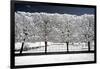 Another Look - Paris-Philippe Hugonnard-Framed Photographic Print