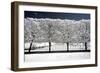 Another Look - Paris-Philippe Hugonnard-Framed Photographic Print