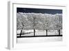 Another Look - Paris-Philippe Hugonnard-Framed Photographic Print