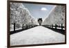 Another Look - Paris-Philippe Hugonnard-Framed Photographic Print