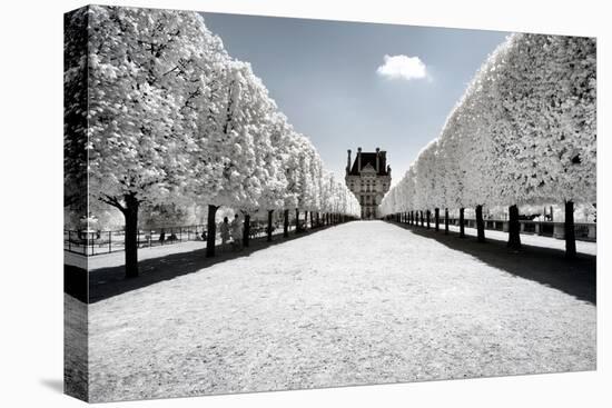 Another Look - Paris-Philippe Hugonnard-Stretched Canvas