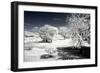 Another Look - Paris-Philippe Hugonnard-Framed Photographic Print