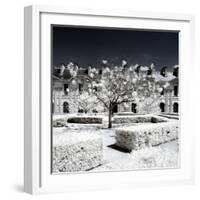 Another Look - Paris-Philippe Hugonnard-Framed Photographic Print