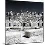 Another Look - Paris-Philippe Hugonnard-Mounted Photographic Print