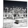 Another Look - Paris-Philippe Hugonnard-Mounted Photographic Print