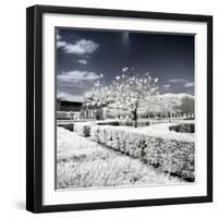 Another Look - Paris-Philippe Hugonnard-Framed Photographic Print