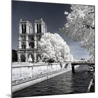 Another Look - Paris-Philippe Hugonnard-Mounted Photographic Print