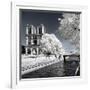 Another Look - Paris-Philippe Hugonnard-Framed Photographic Print