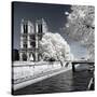 Another Look - Paris-Philippe Hugonnard-Stretched Canvas