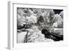 Another Look - Paris-Philippe Hugonnard-Framed Photographic Print