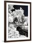 Another Look - Paris-Philippe Hugonnard-Framed Photographic Print