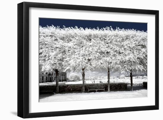 Another Look - Paris-Philippe Hugonnard-Framed Photographic Print