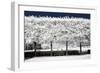 Another Look - Paris-Philippe Hugonnard-Framed Photographic Print