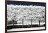 Another Look - Paris-Philippe Hugonnard-Framed Photographic Print