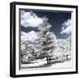 Another Look - Paris-Philippe Hugonnard-Framed Photographic Print