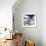 Another Look - Paris-Philippe Hugonnard-Framed Photographic Print displayed on a wall