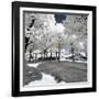 Another Look - Paris-Philippe Hugonnard-Framed Photographic Print