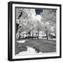 Another Look - Paris-Philippe Hugonnard-Framed Photographic Print