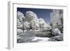 Another Look - Paris-Philippe Hugonnard-Framed Photographic Print