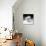 Another Look - Paris-Philippe Hugonnard-Photographic Print displayed on a wall