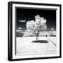 Another Look - Paris-Philippe Hugonnard-Framed Photographic Print