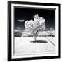 Another Look - Paris-Philippe Hugonnard-Framed Photographic Print