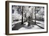 Another Look - Paris-Philippe Hugonnard-Framed Photographic Print