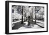 Another Look - Paris-Philippe Hugonnard-Framed Photographic Print