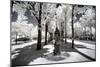 Another Look - Paris-Philippe Hugonnard-Mounted Photographic Print