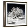 Another Look - Paris-Philippe Hugonnard-Framed Photographic Print