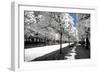 Another Look - Paris-Philippe Hugonnard-Framed Photographic Print