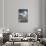 Another Look - Paris-Philippe Hugonnard-Photographic Print displayed on a wall