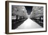 Another Look - Paris-Philippe Hugonnard-Framed Photographic Print