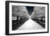 Another Look - Paris-Philippe Hugonnard-Framed Photographic Print