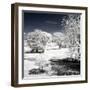 Another Look - Paris-Philippe Hugonnard-Framed Photographic Print